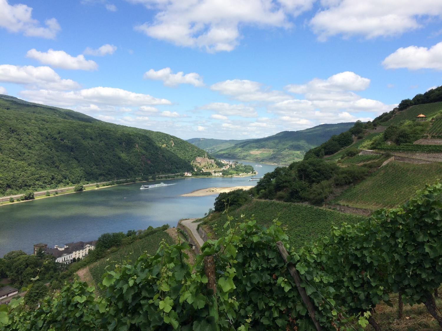 Winzerhof Ross & Rose Hotel Trechtingshausen Luaran gambar