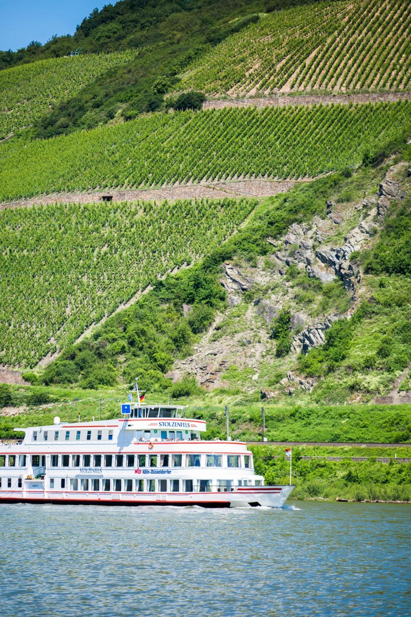 Winzerhof Ross & Rose Hotel Trechtingshausen Luaran gambar